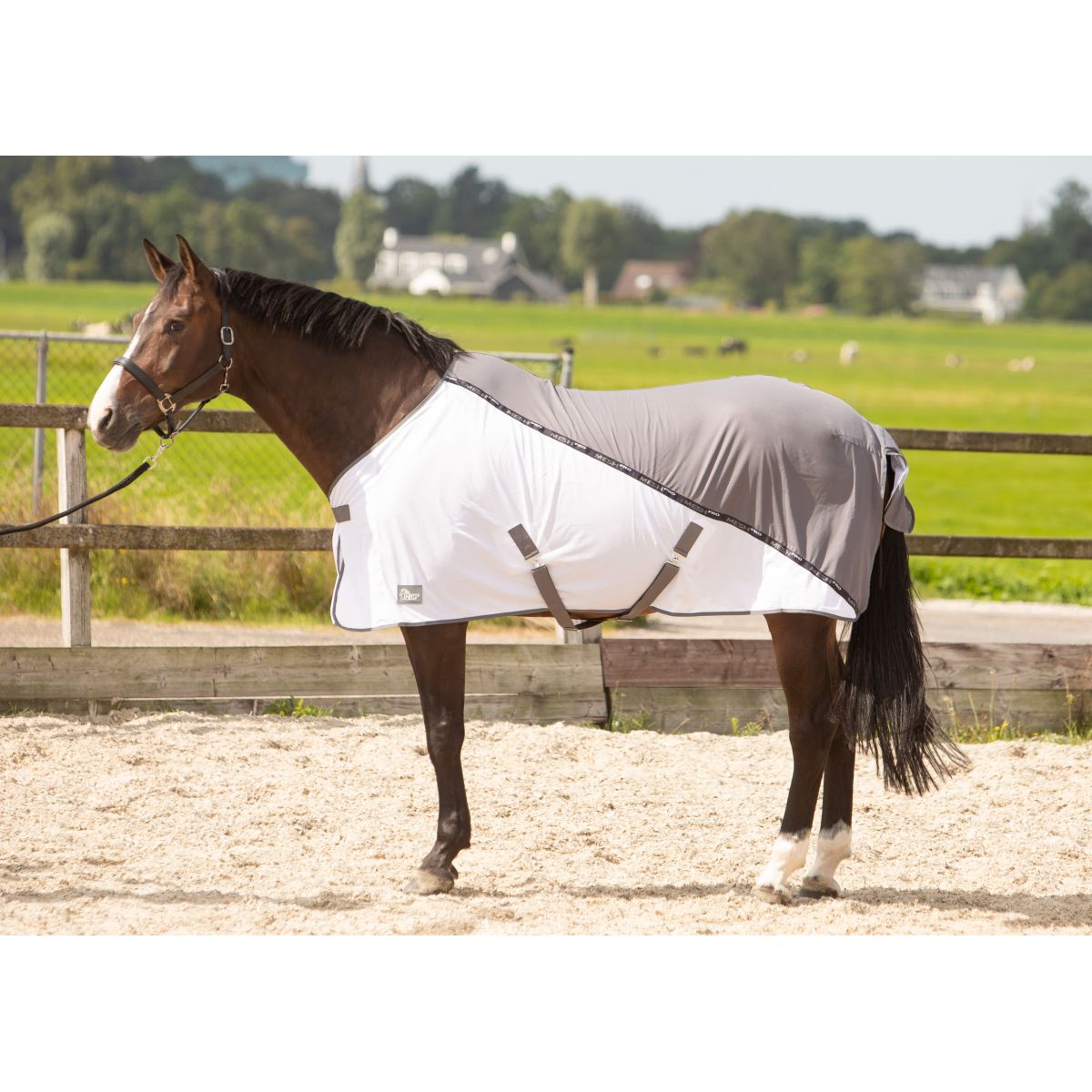 Harry's Horse Fliegendecke Mesh-pro Grau