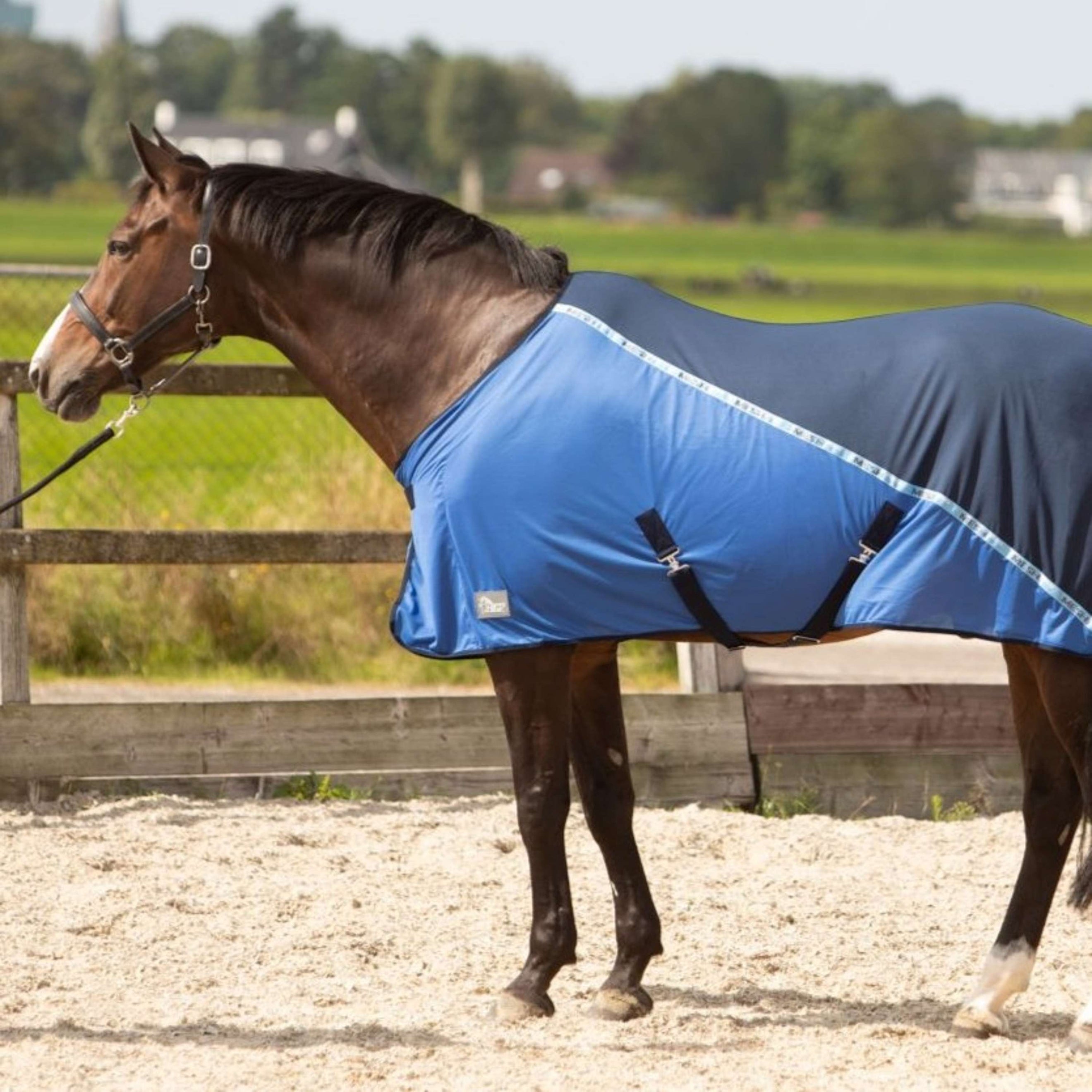 Harry's Horse Fliegendecke Mesh-pro Navy Harry's Horse Fliegendecke Mesh-pro Navy