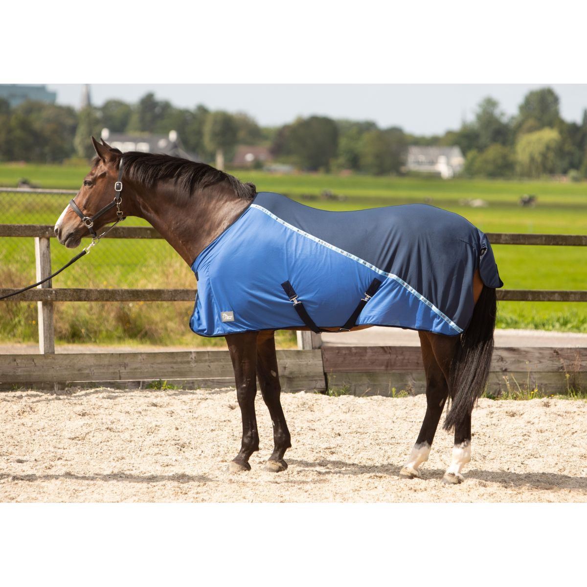 Harry's Horse Fliegendecke Mesh-pro Navy