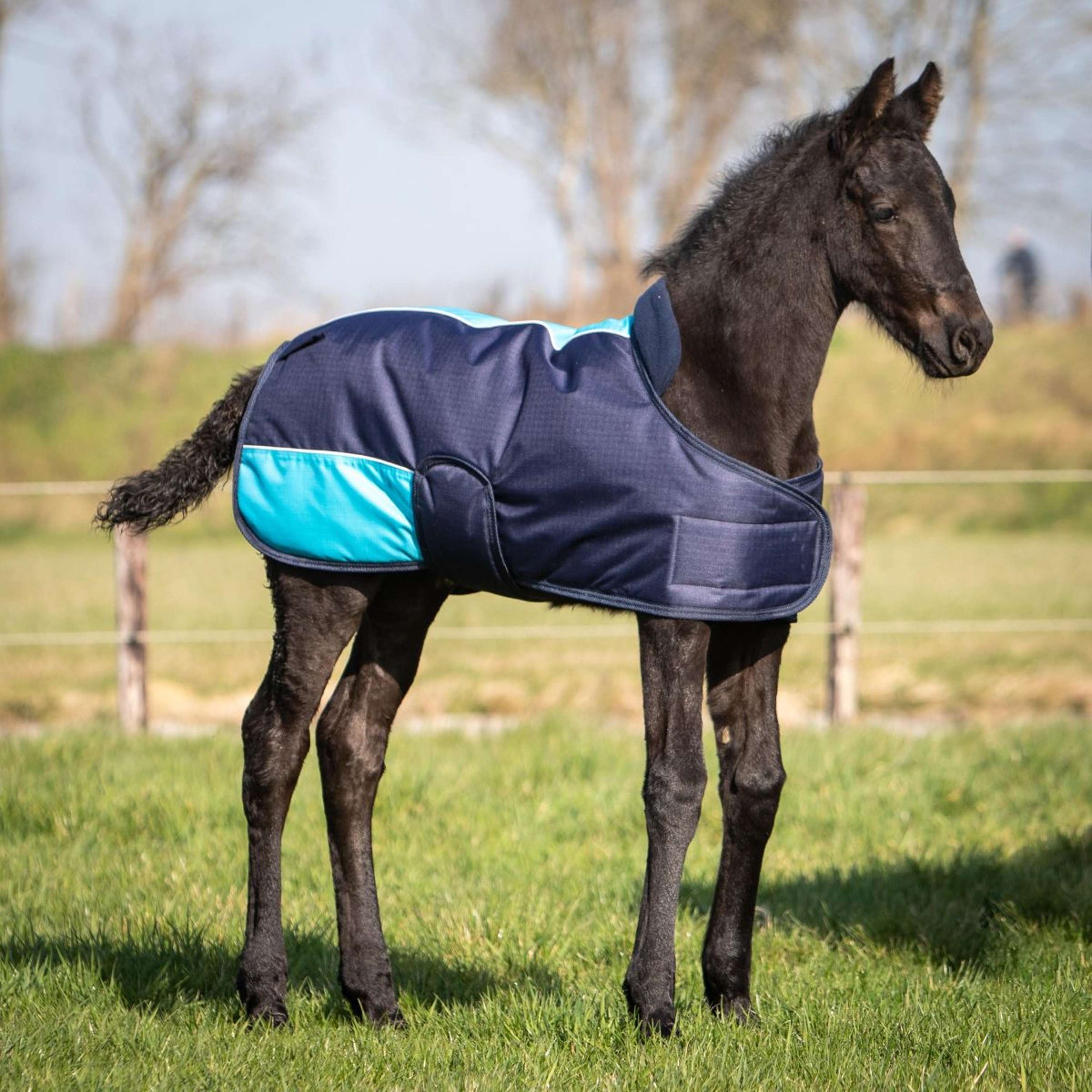 Harry's Horse Fohlendecke TwoTone Navy