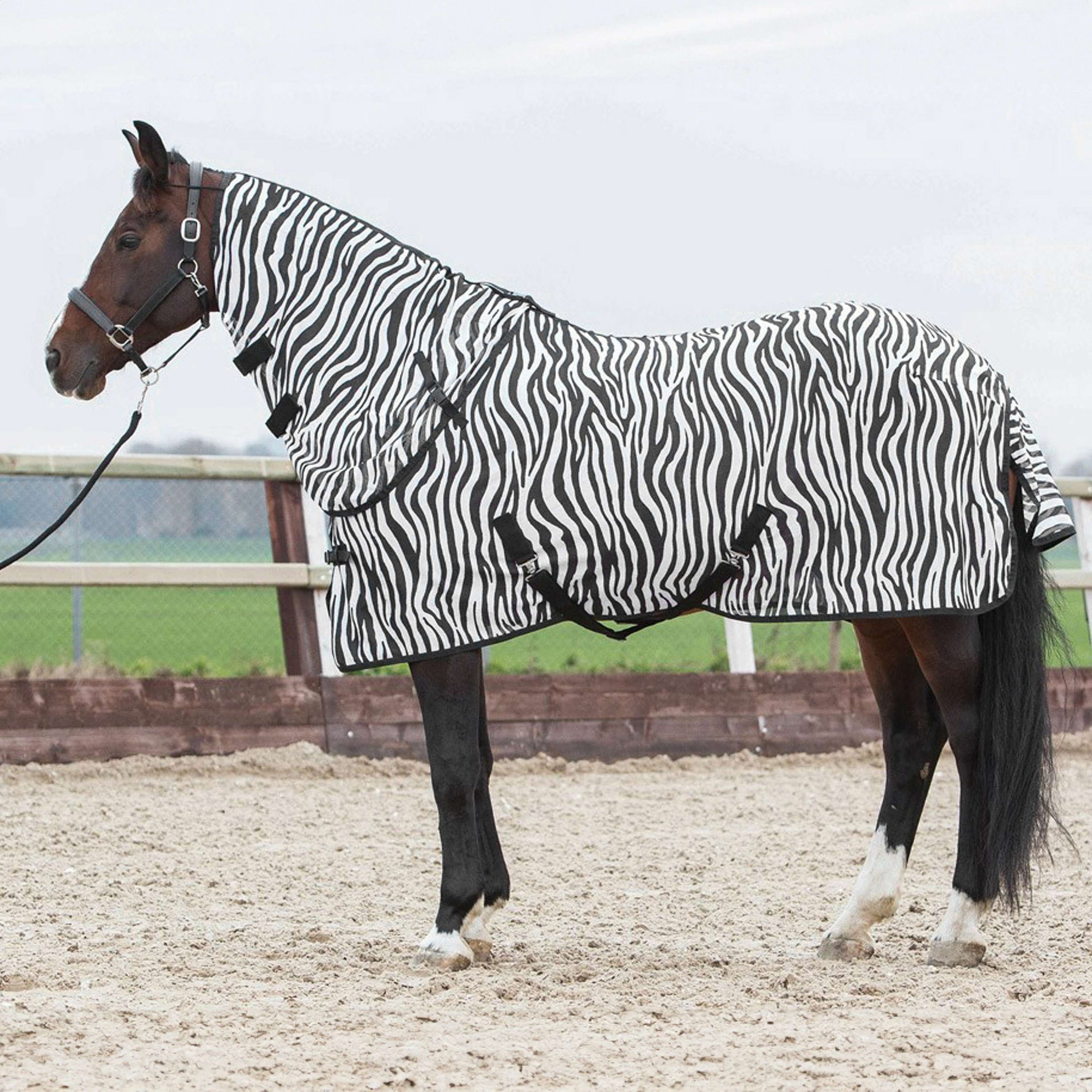 Harry's Horse Fliegendecke mit seperatem Halsteil Zebra Harry's Horse Fliegendecke mit seperatem Halsteil Zebra