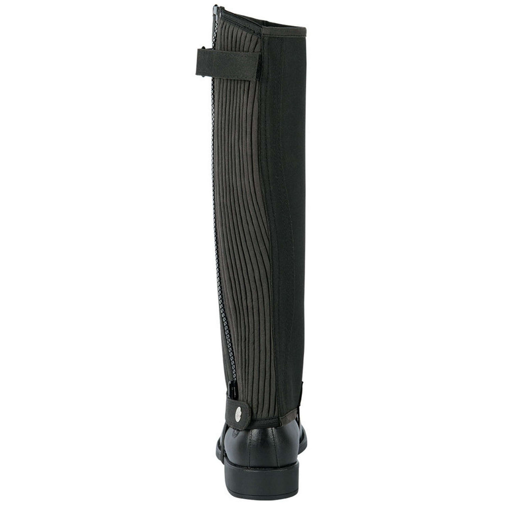 Harry's Horse Chaps Amara Schwarz