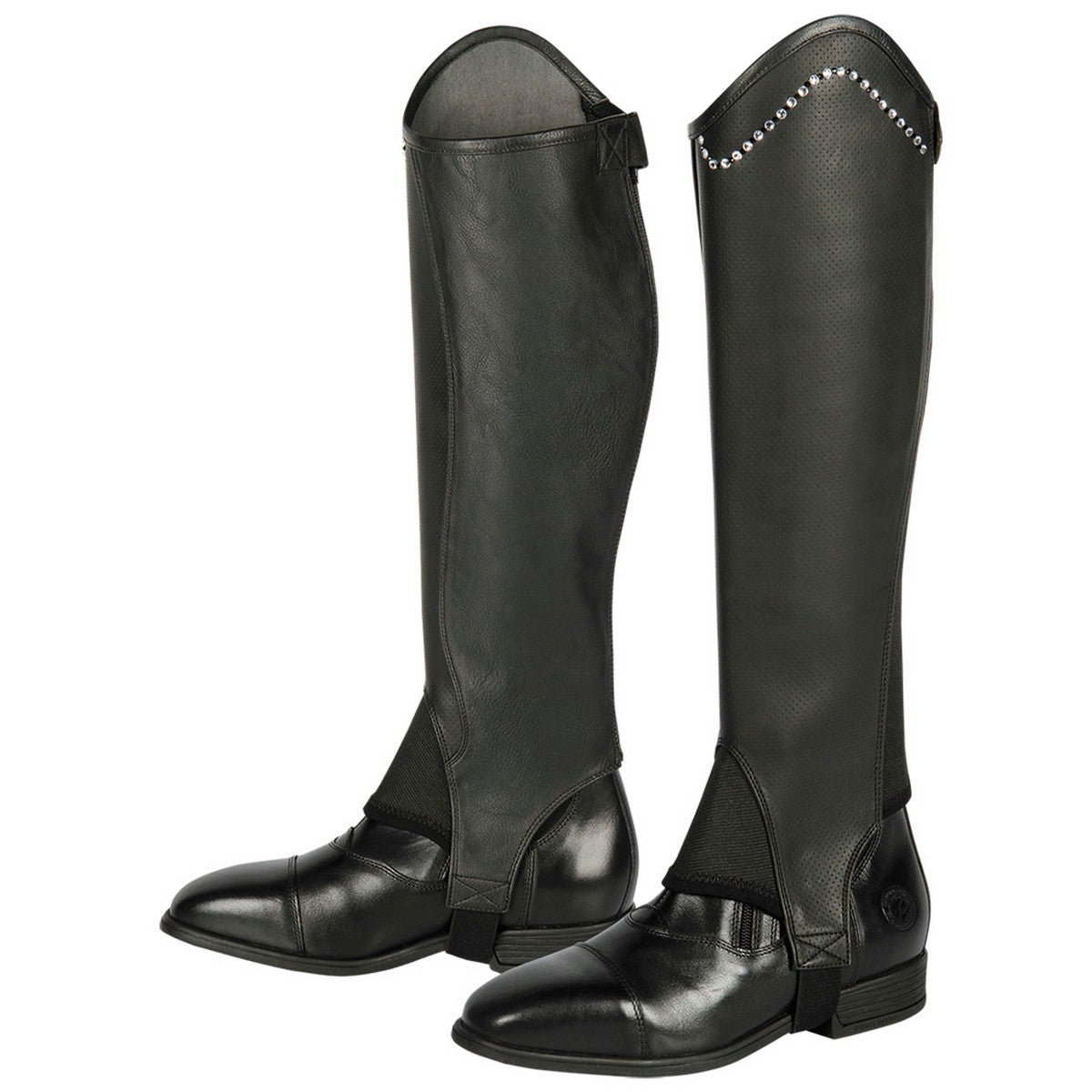 Harry's Horse Chaps Asteroid Schwarz