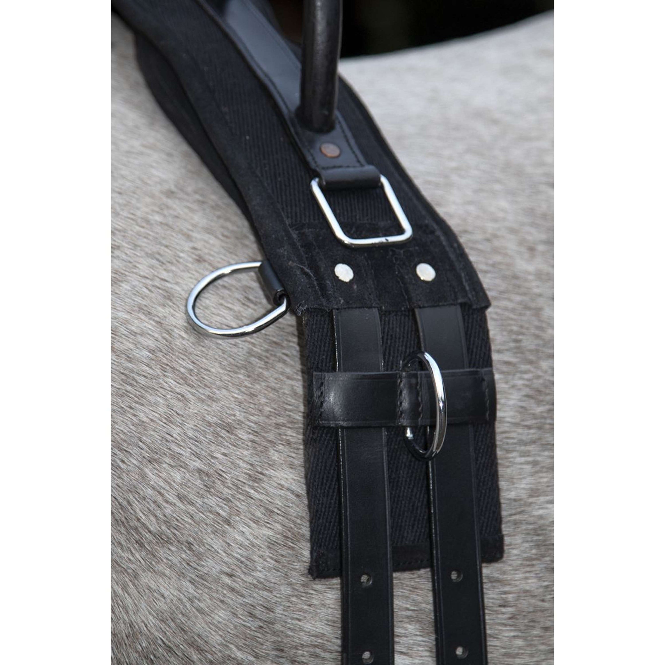 HKM Longiergurt Canvas mit Doppelter Handgriff Schwarz HKM Longiergurt Canvas mit Doppelter Handgriff Schwarz