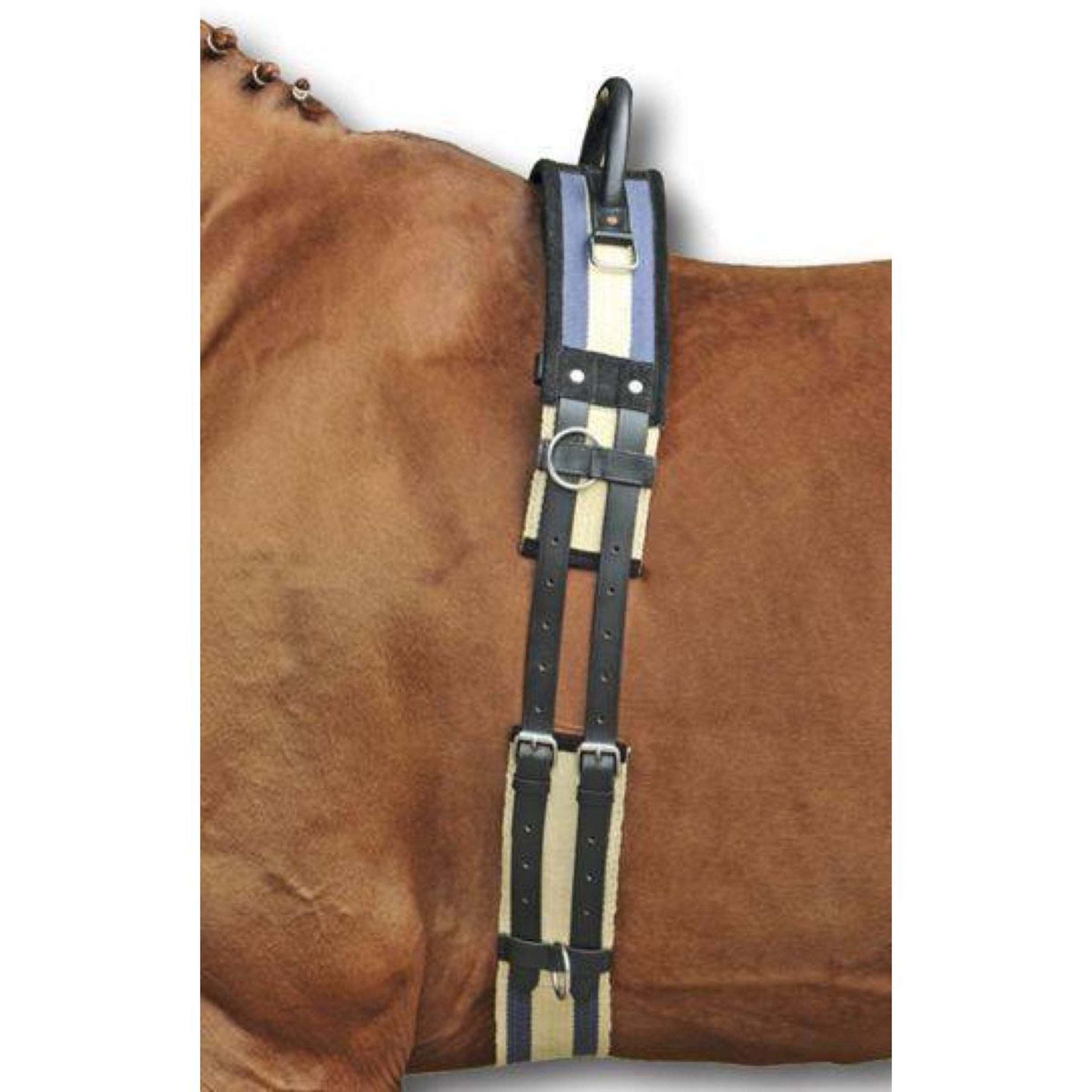 HKM Longiergurt mit Handgriff Schwarz