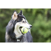 KONG Air Squeaker Tennis Ball Gelb