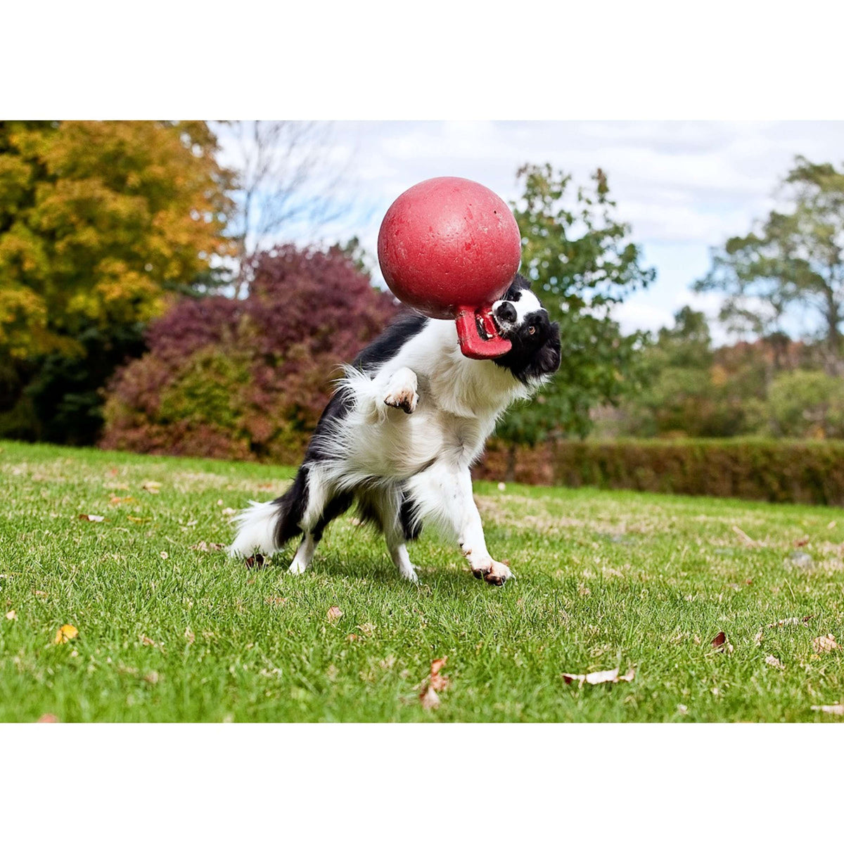 Jolly Ball Tug-n-Toss Blau