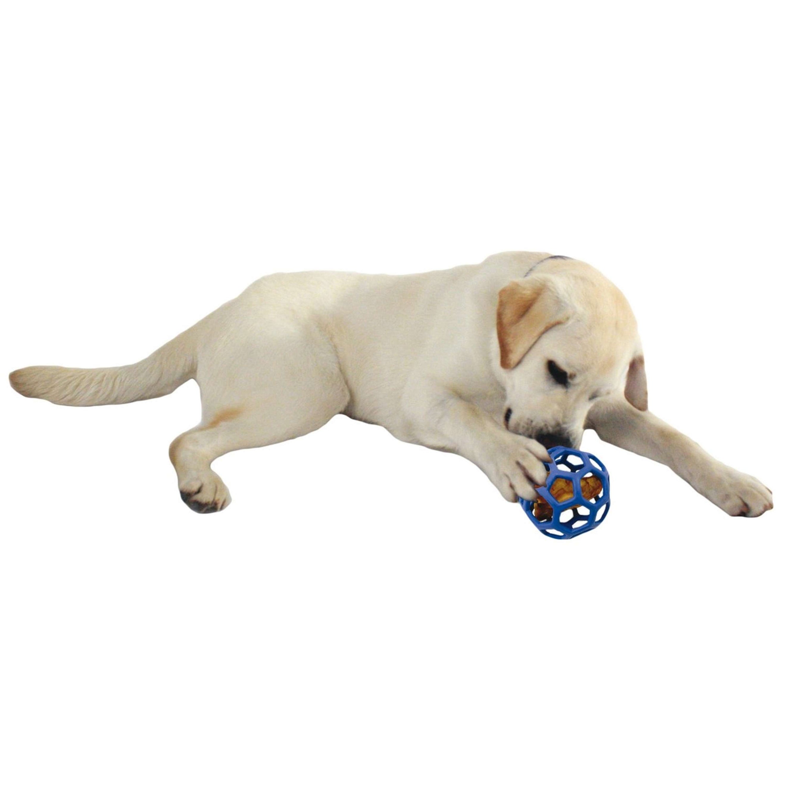 JW Spielball HOL-EE Roller Jumbo Assorti JW Spielball HOL-EE Roller Jumbo Assorti