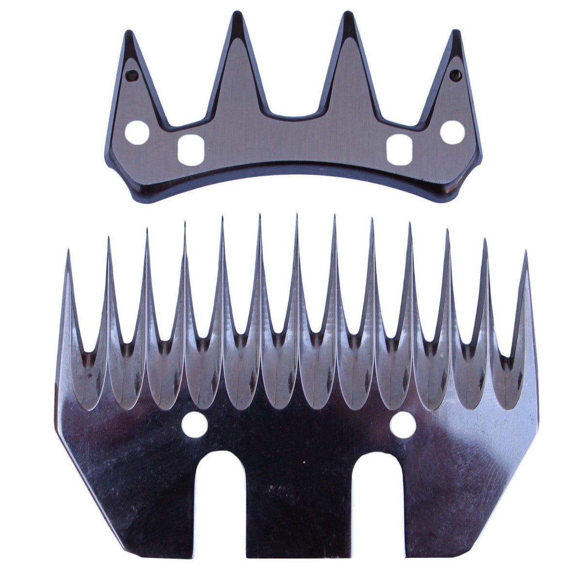 Agradi Schermaschinenmesser für Schafe