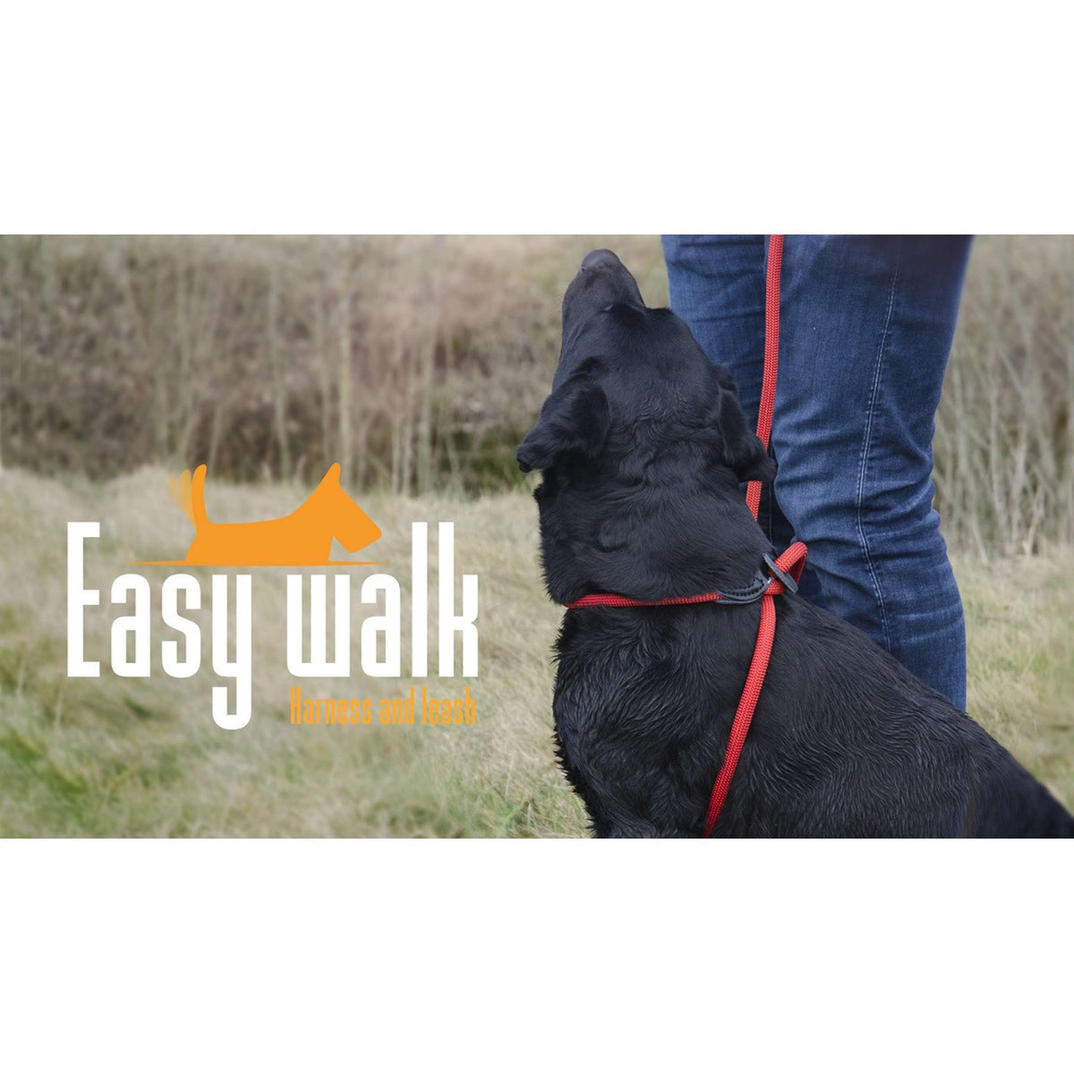 Agradi Easy Walk Mini Handmodel Schwarz