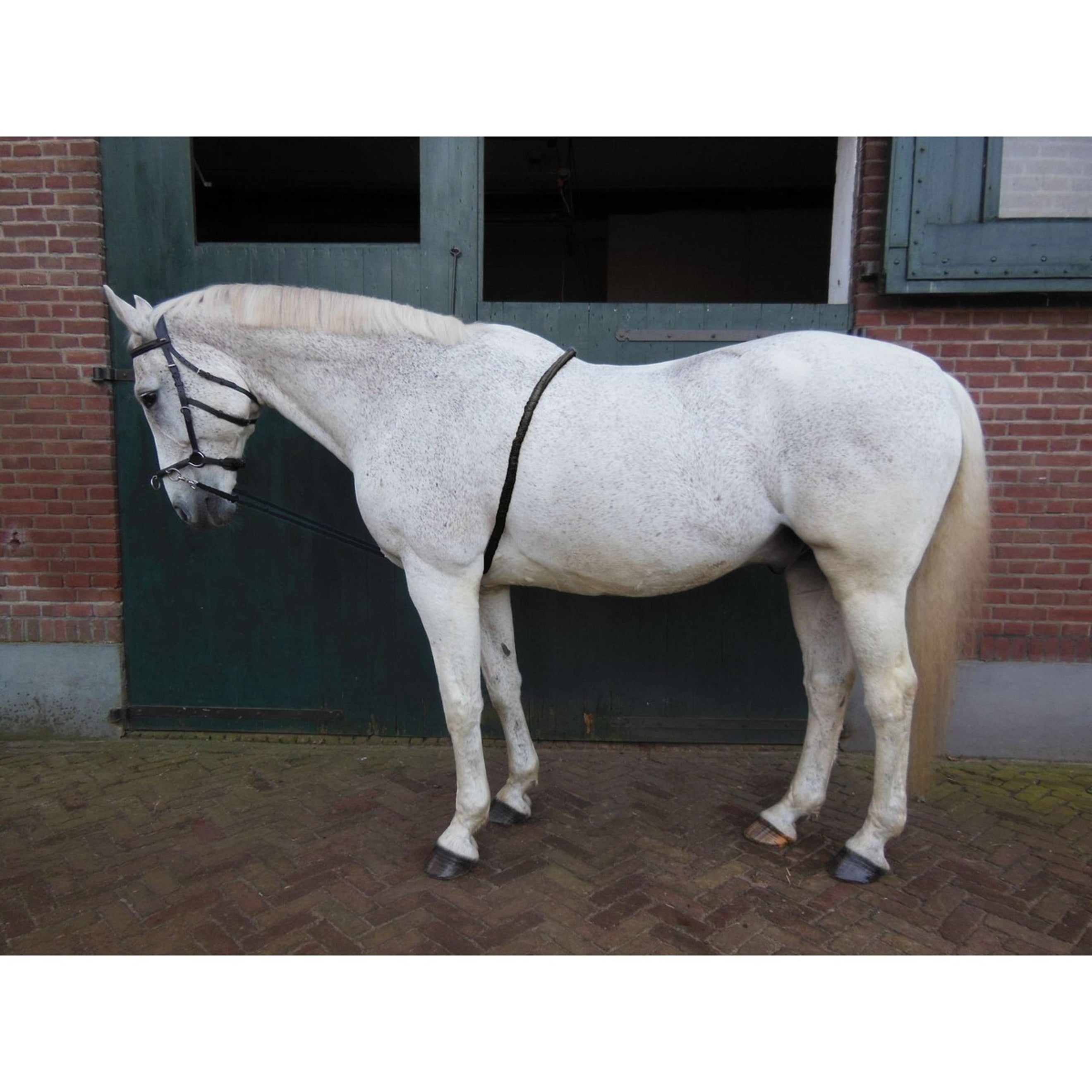 HORKA Longierhilfe Schwarz HORKA Longierhilfe Schwarz