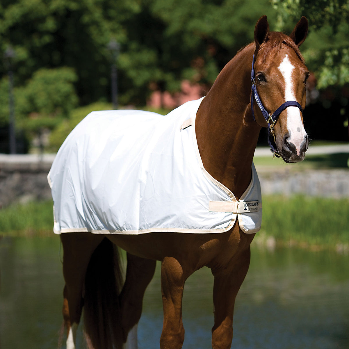 Horseware Waterproof Fly Rug Liner Weiß