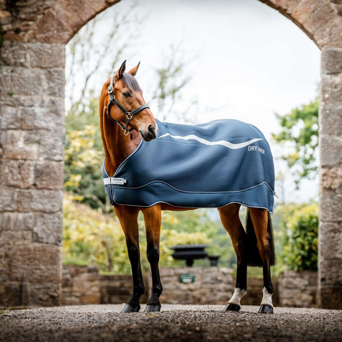 Horseware Dry Liner Navy/Silber