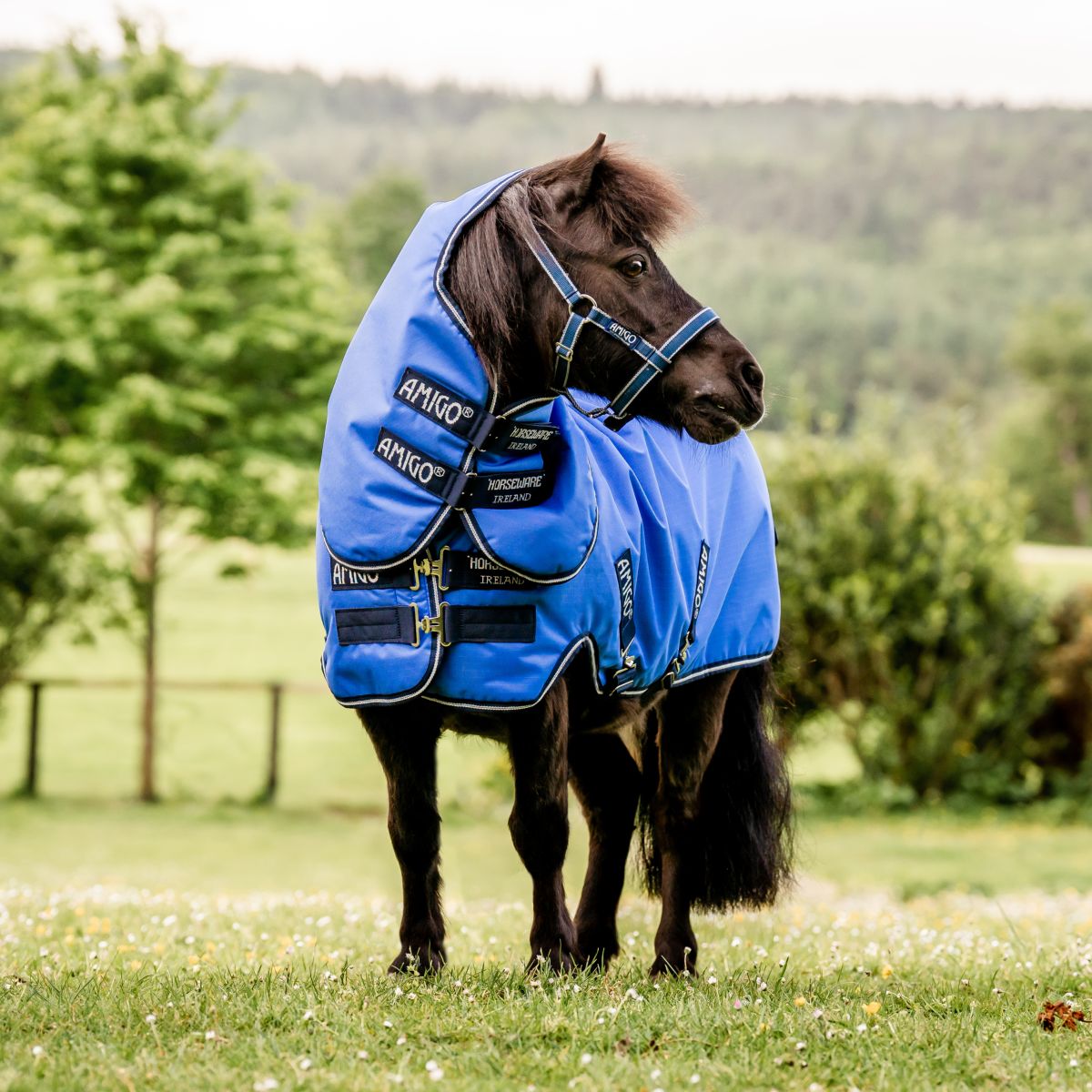 Amigo Turnout Lite Hero 6 Petite Plus Blau/Navy