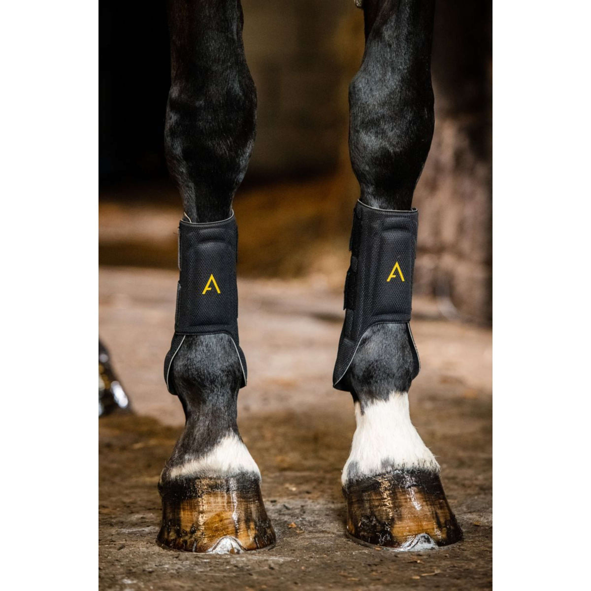 Horseware Protective Leg Boot Schwarz/Gelb