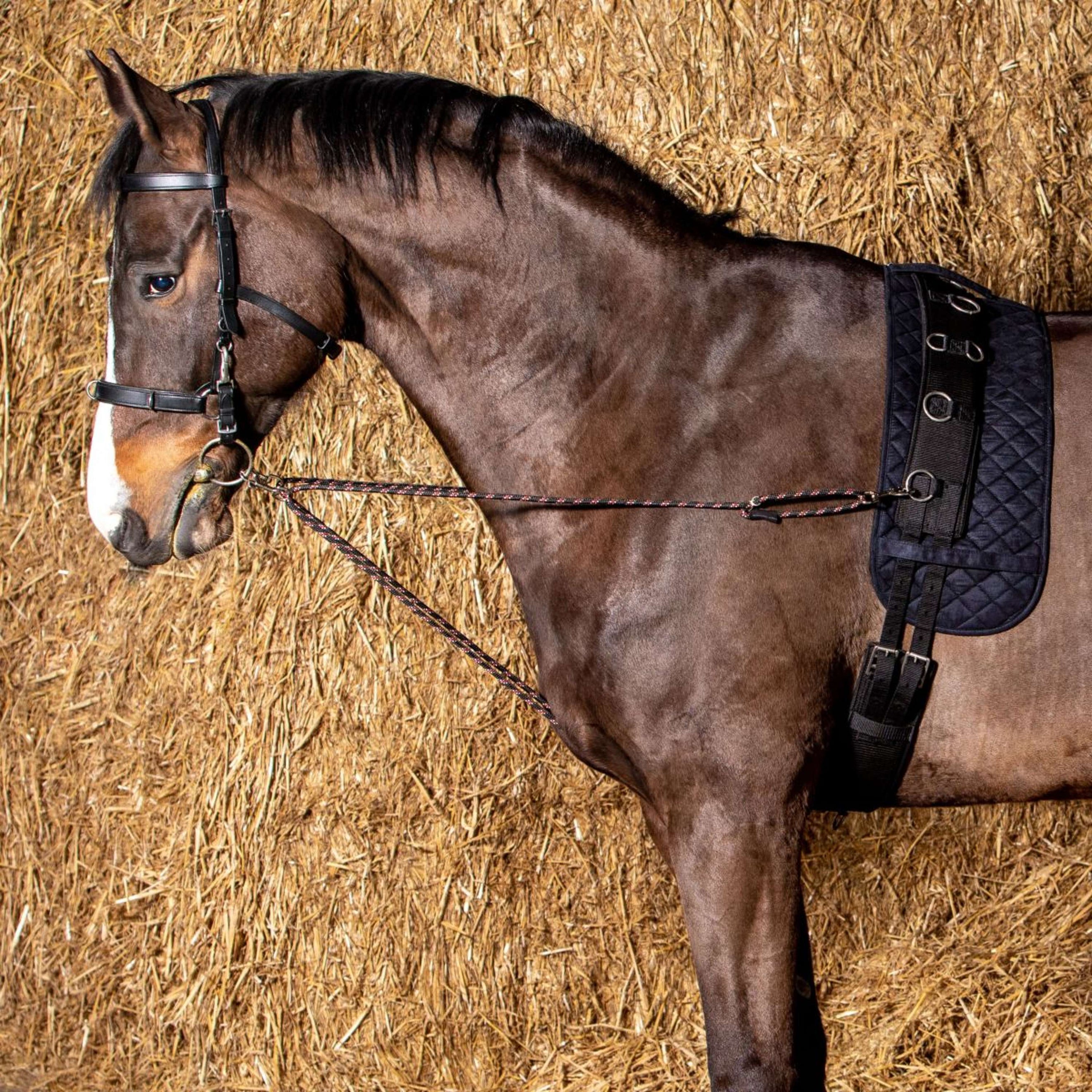 Harry's Horse Longe V-line Schwarz Harry's Horse Longe V-line Schwarz