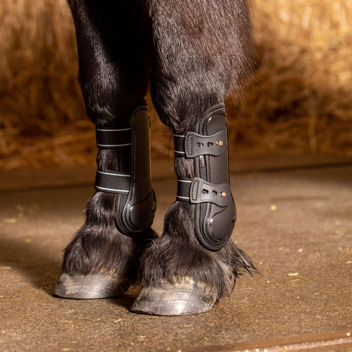 Harry's Horse Sehnenschutz Pinlock Schwarz