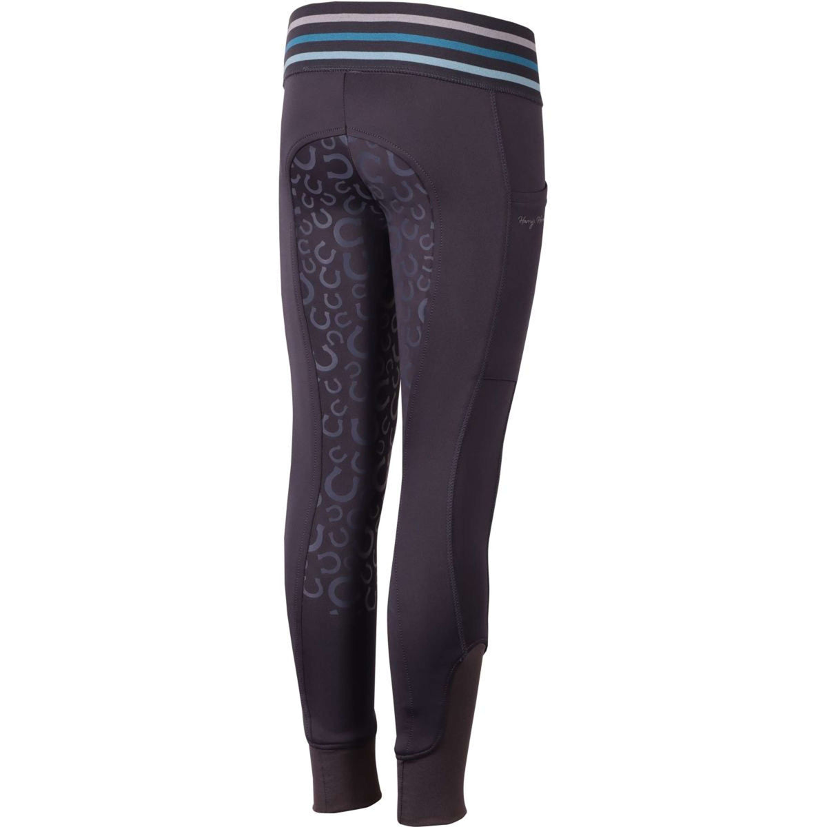 Harry's Horse Reitleggings Equitights STOUT! Beryl Full Grip Anthrazit/Grau