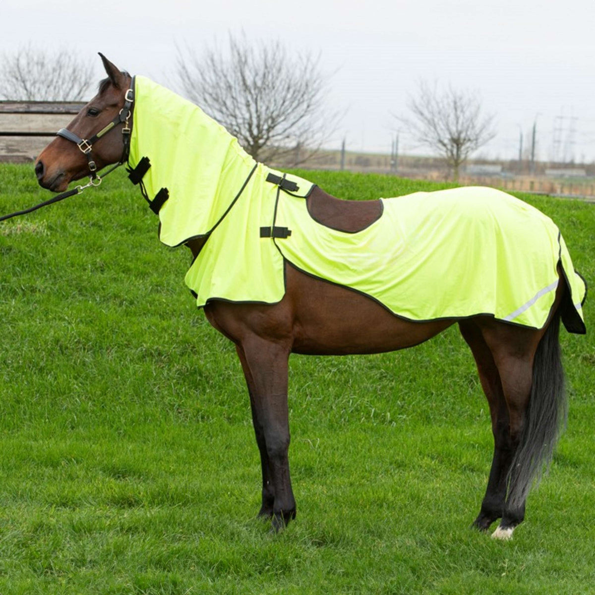 Harry's Horse Fliegen Ausreitdecke Mesh Pro Gelb