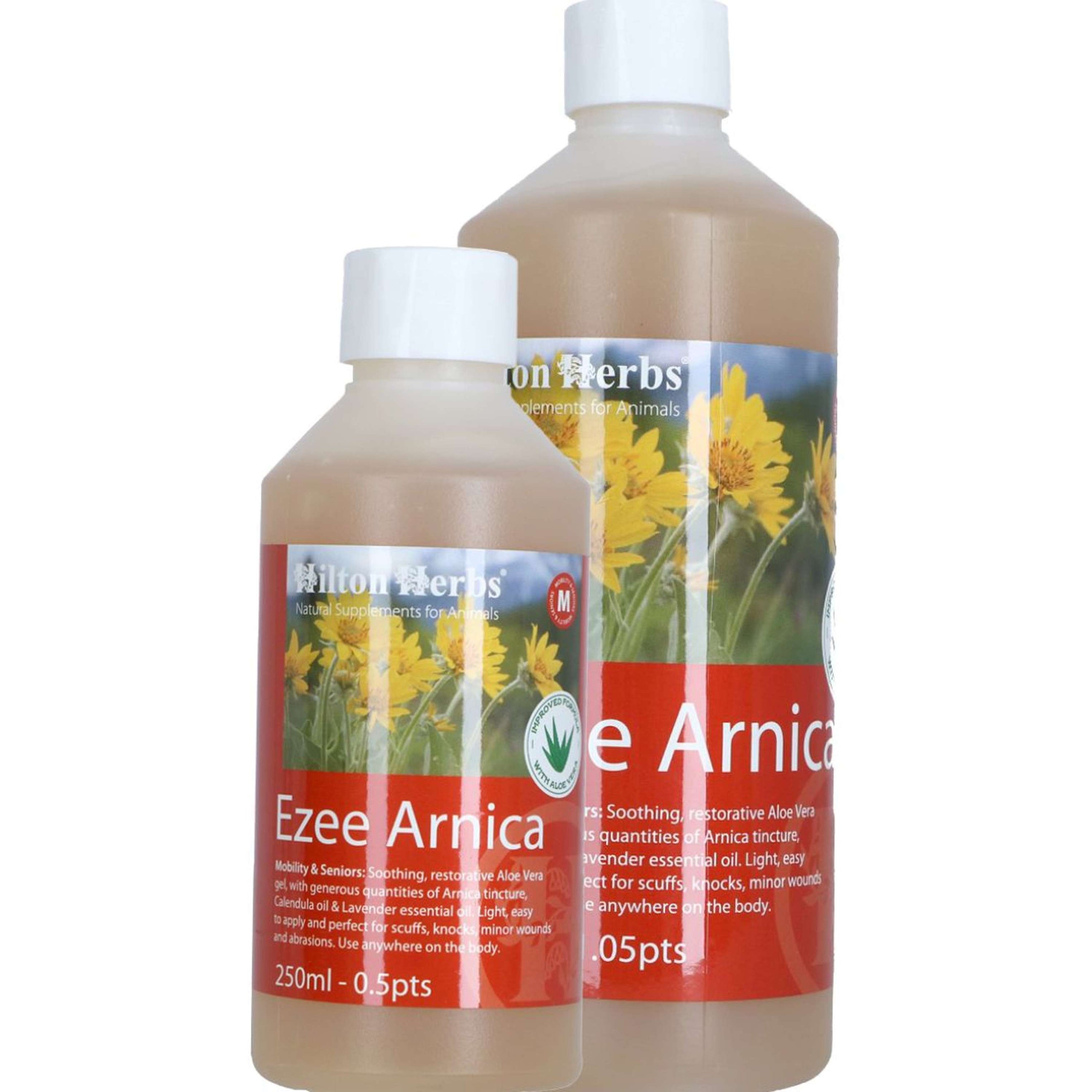 Hilton Herbs Ezee Arnica