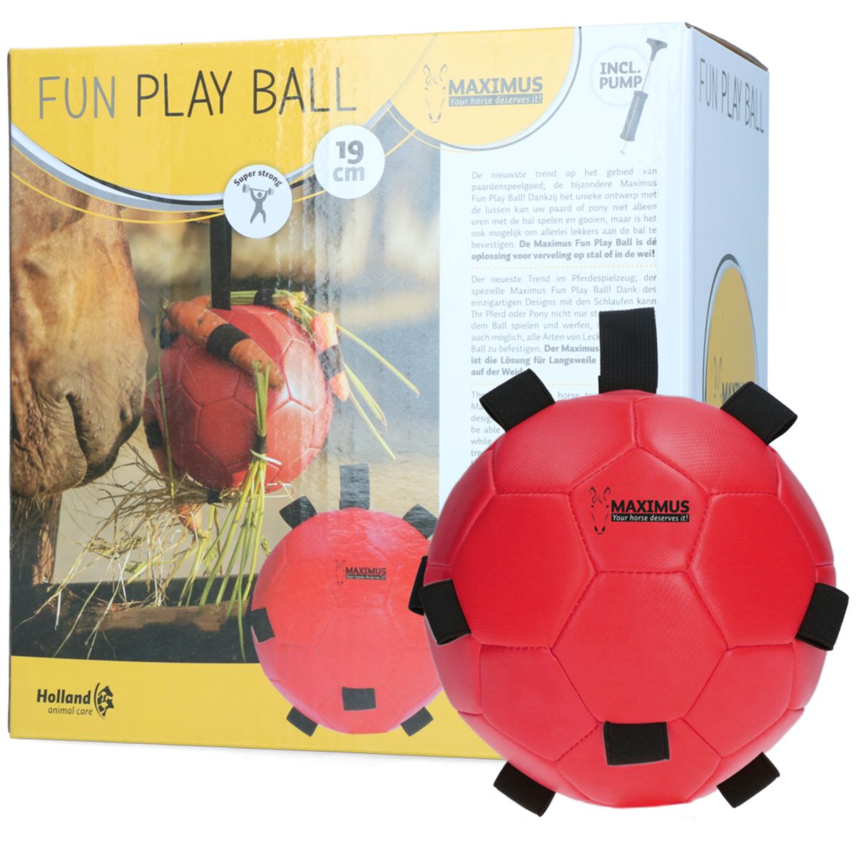 Maximus Ball Fun Play Rot