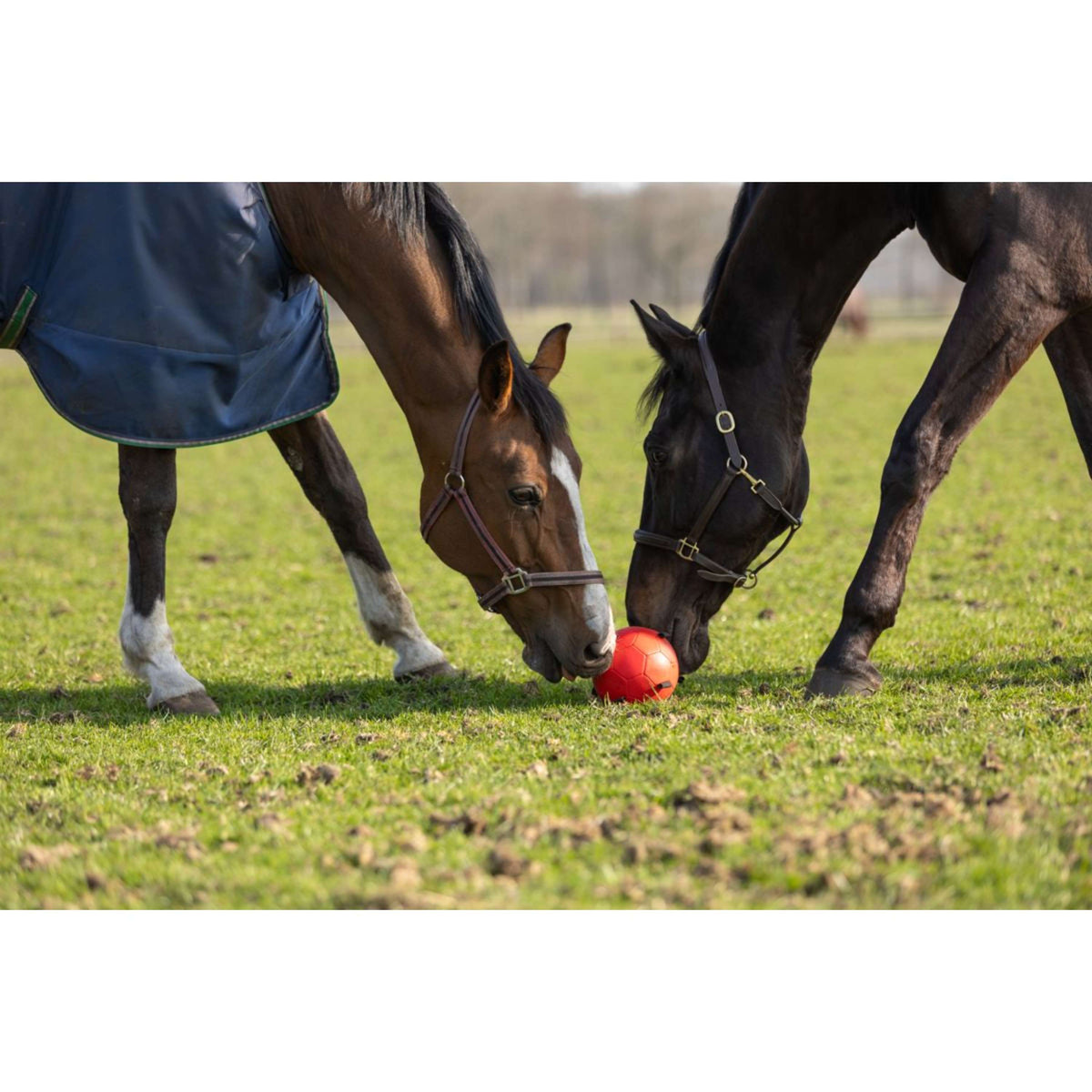 Maximus Ball Fun Play Blau