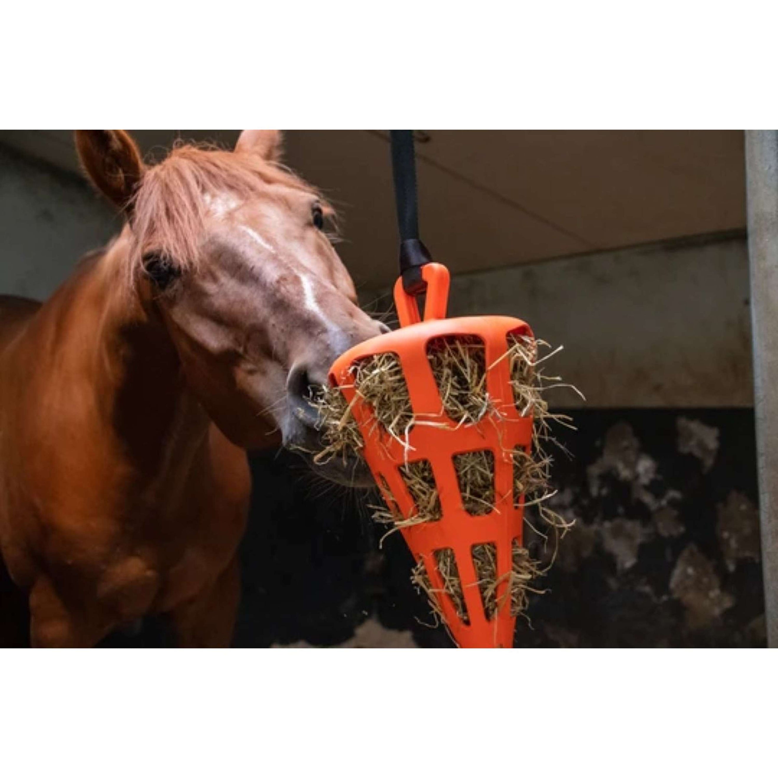 Excellent Slowfeeder Fun and Flex Karotte Orange Excellent Slowfeeder Fun and Flex Karotte Orange