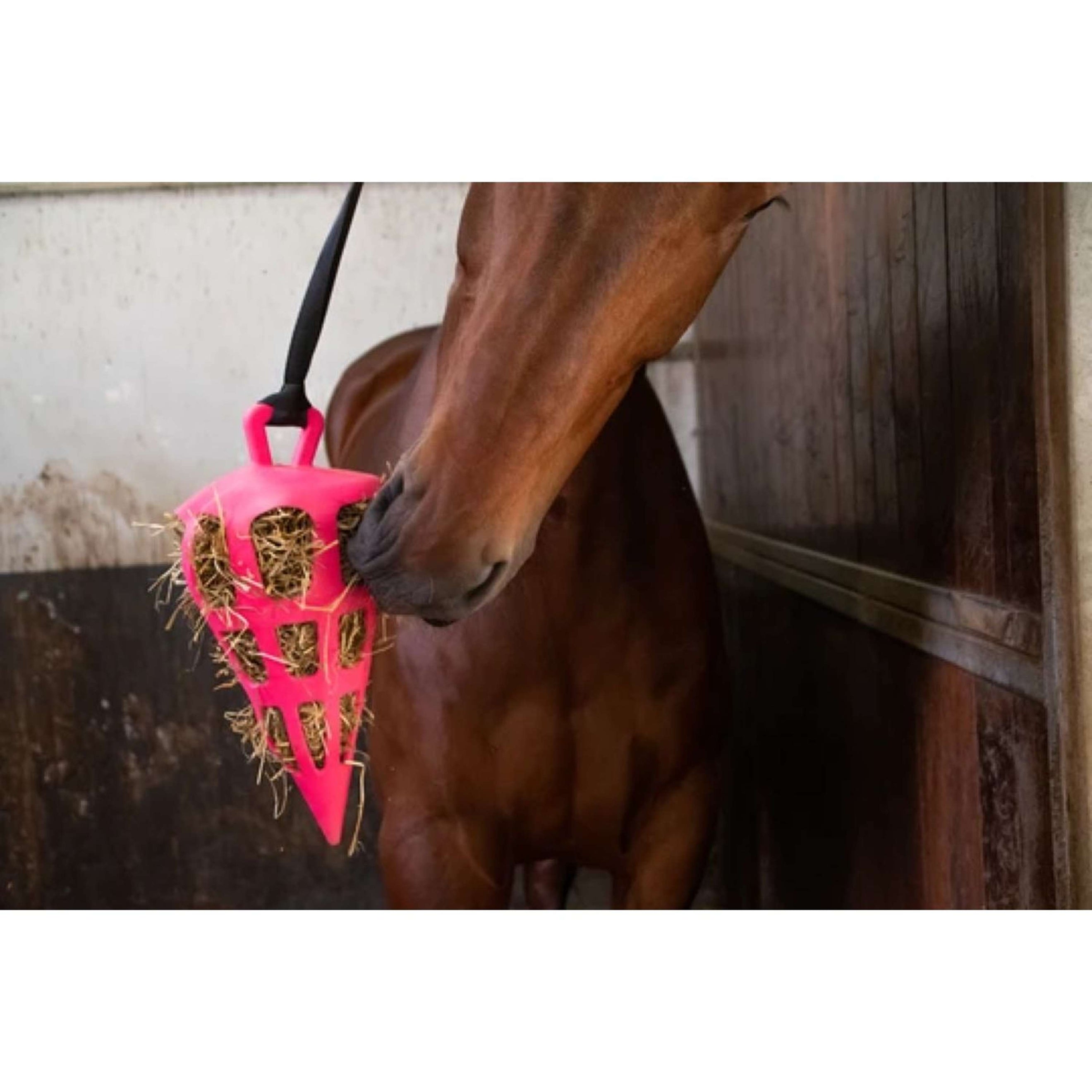Excellent Slowfeeder Fun and Flex Karotte Rosa Excellent Slowfeeder Fun and Flex Karotte Rosa