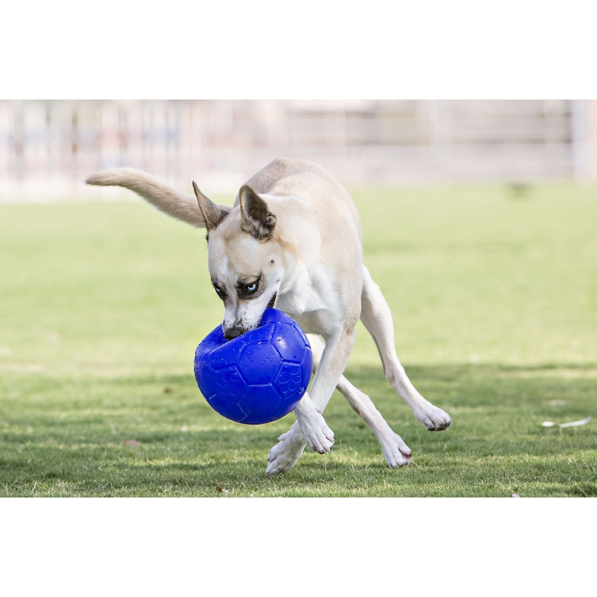 Jolly Ball Soccer Ball Meerblau