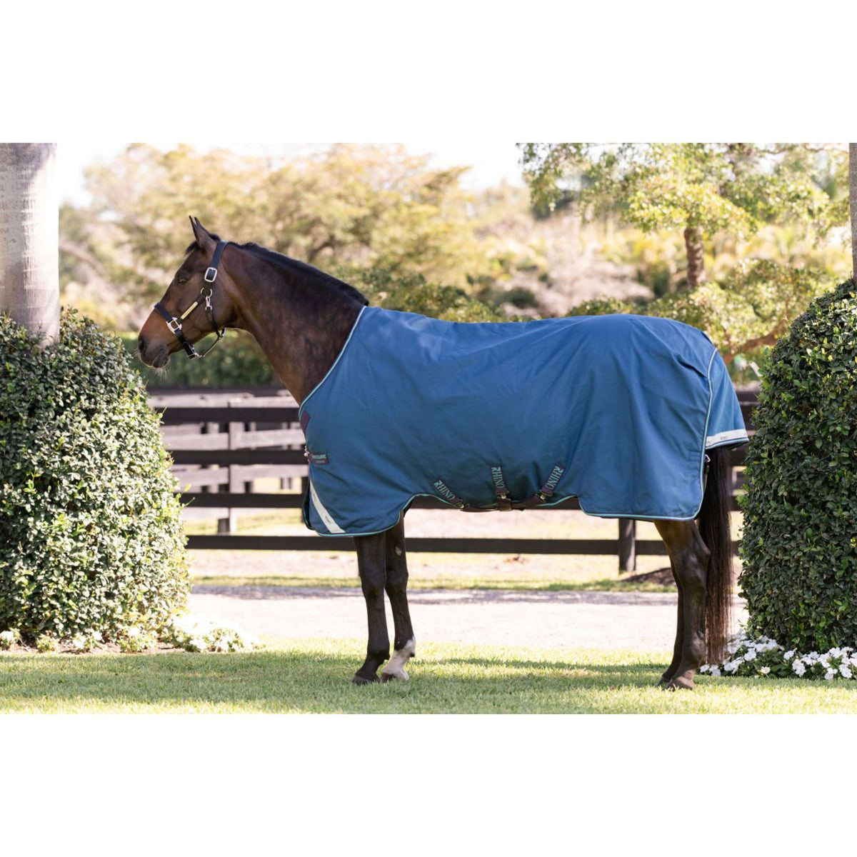 Rhino Turnout 100g Marine/Grau/Aqua/Grau