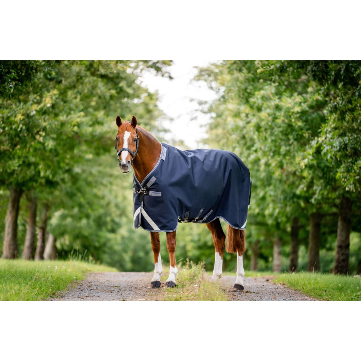 Rambo by Horseware Turnout 1680D 100g Marineblau/Gewittergrau/Silber