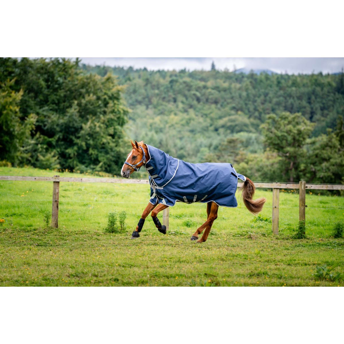 Amigo Turnout 1200D Plus 50g Marineblau/Titangrau/Silber