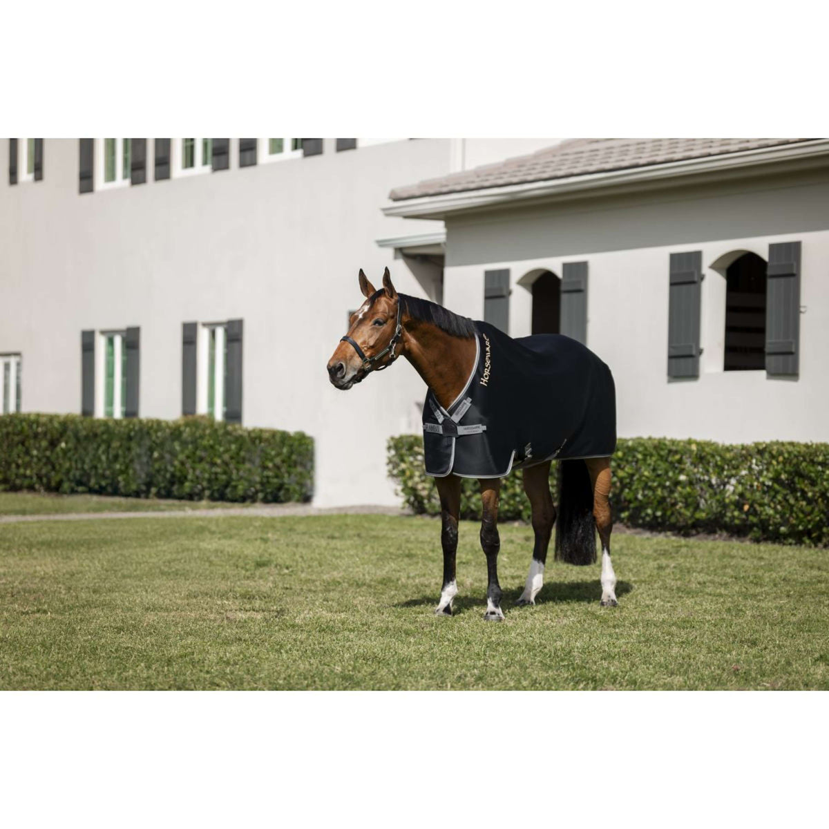 Rambo Airmax Cooler Schwarz/Thunderstorm Grey/Silver