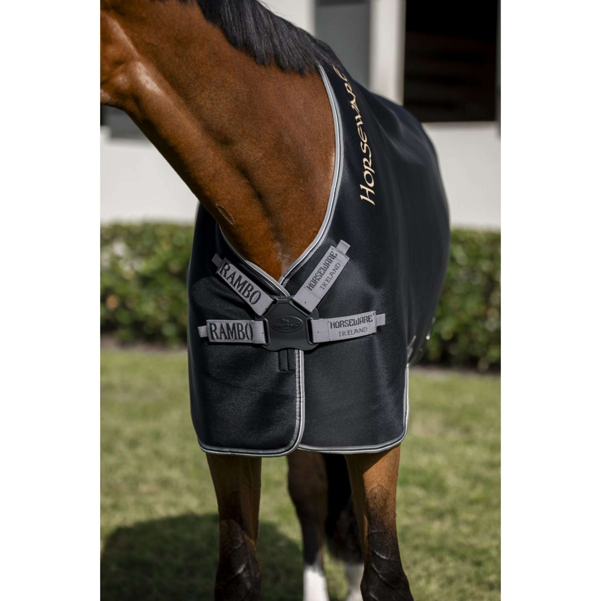 Rambo Airmax Cooler Schwarz/Thunderstorm Grey/Silver