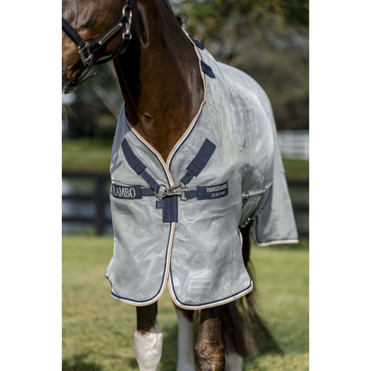 Rambo by Horseware Protector Silber/Marineblau/Weiß/Beige