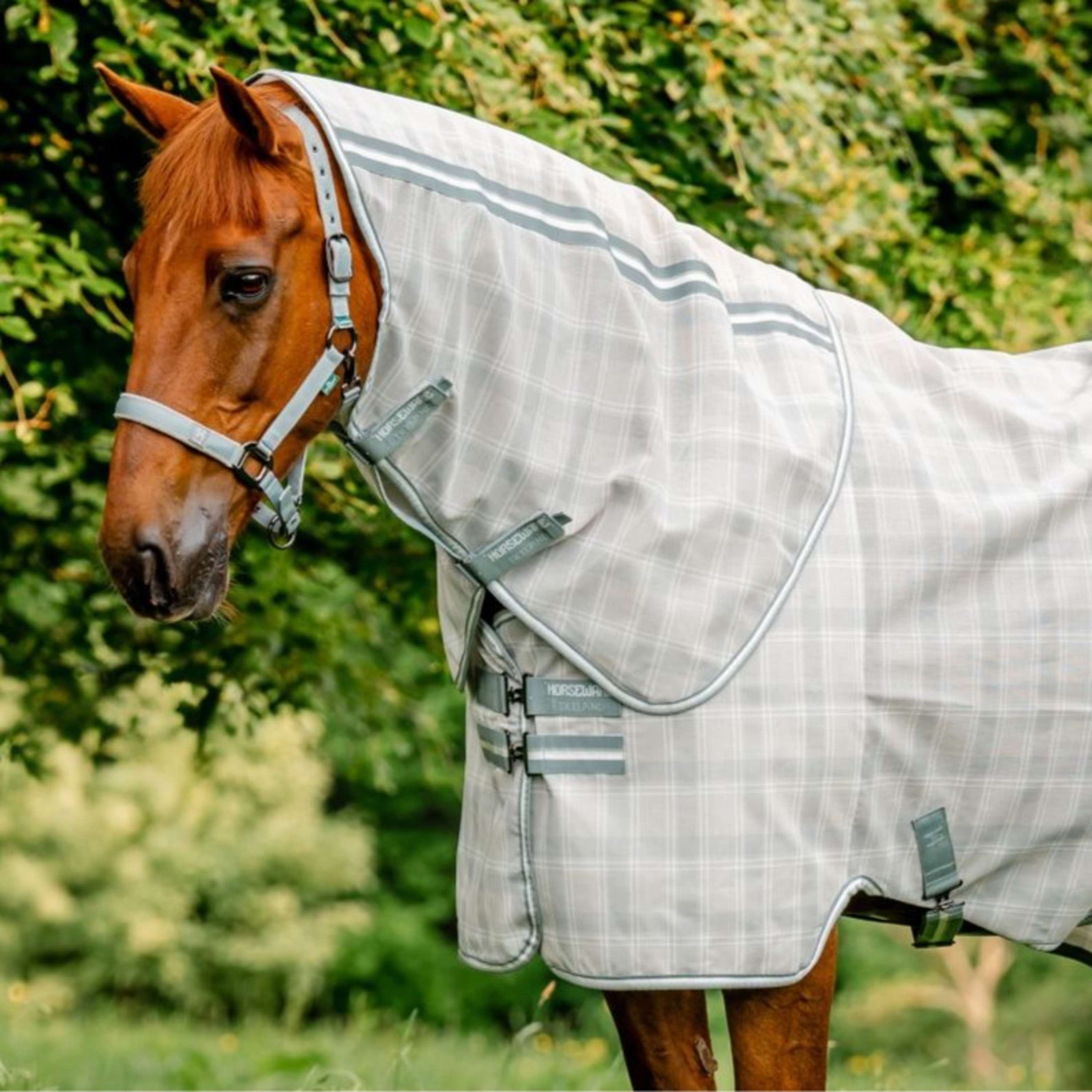 Horseware Halsstück Newmarket Witney Charcoal