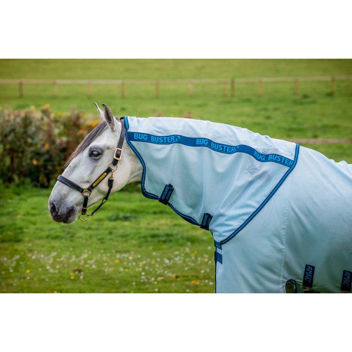 Amigo Halsstück Bug Buster Azure Blue/Navy/Electric Blue