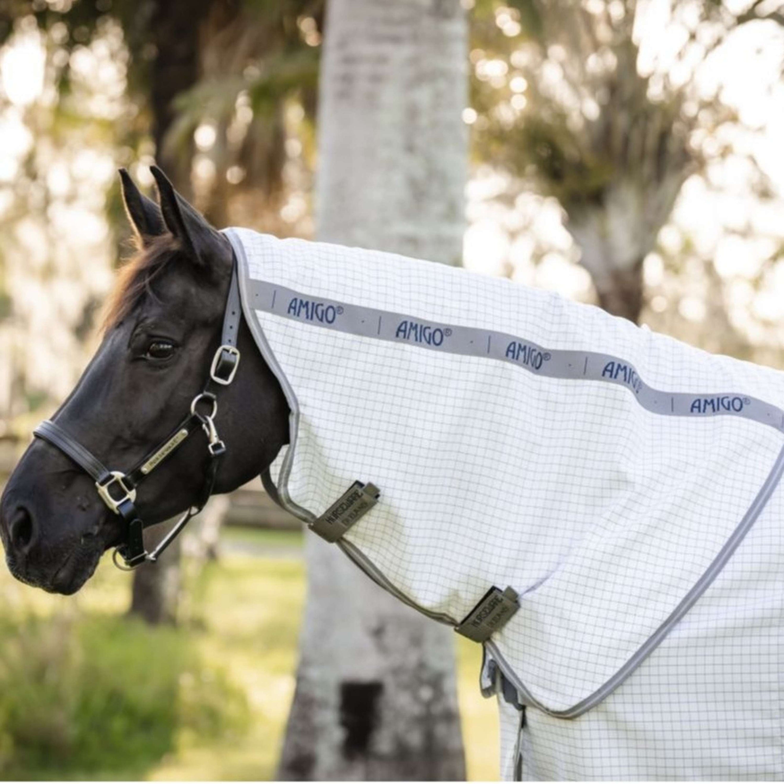 Amigo Summer Sheet Plus Marineblau/Titangrau/Silber Amigo Summer Sheet Plus Marineblau/Titangrau/Silber