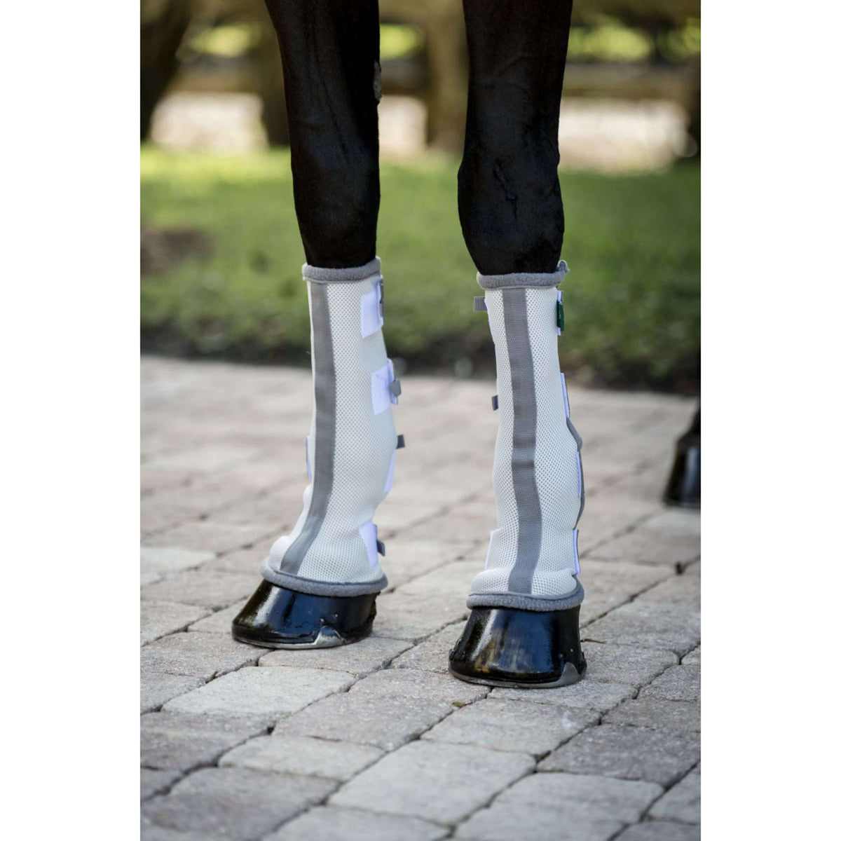 Horseware Fly Boots Set of 2 Silber/Titangrau/Silber