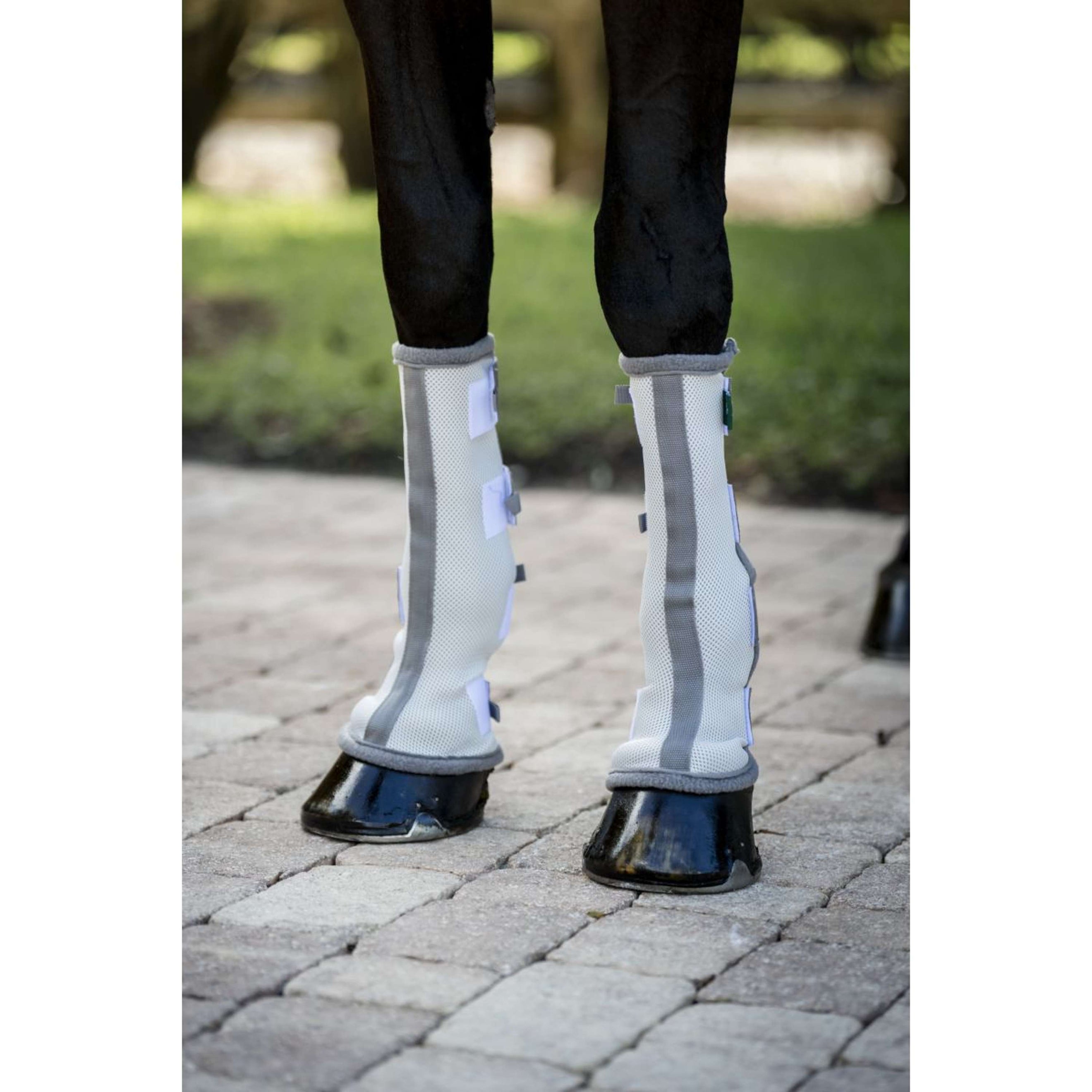 Horseware Fly Boots Set of 2 Silber/Titangrau/Silber