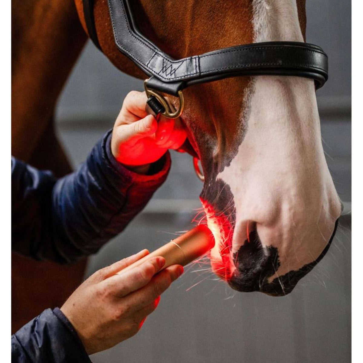 Horseware LED Red Light Therapy Zauberstab Schwarz