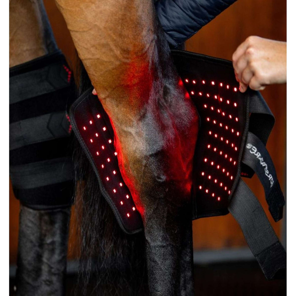 Horseware LED Red Light Therapy Left Hock Boot Schwarz