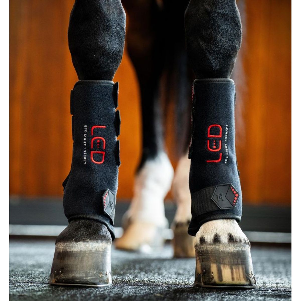 Horseware LED Red Light Therapy Right Leg Wrap Schwarz