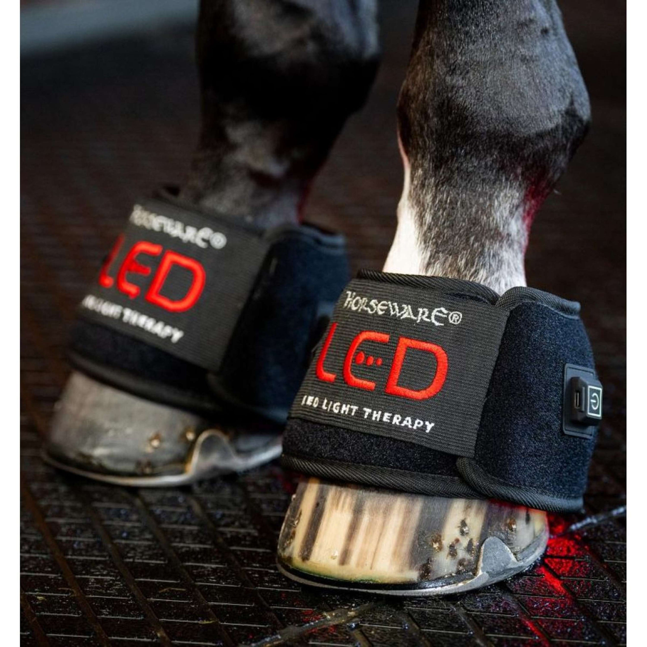 Horseware LED Red Light Therapy Mini Wrap Schwarz Horseware LED Red Light Therapy Mini Wrap Schwarz