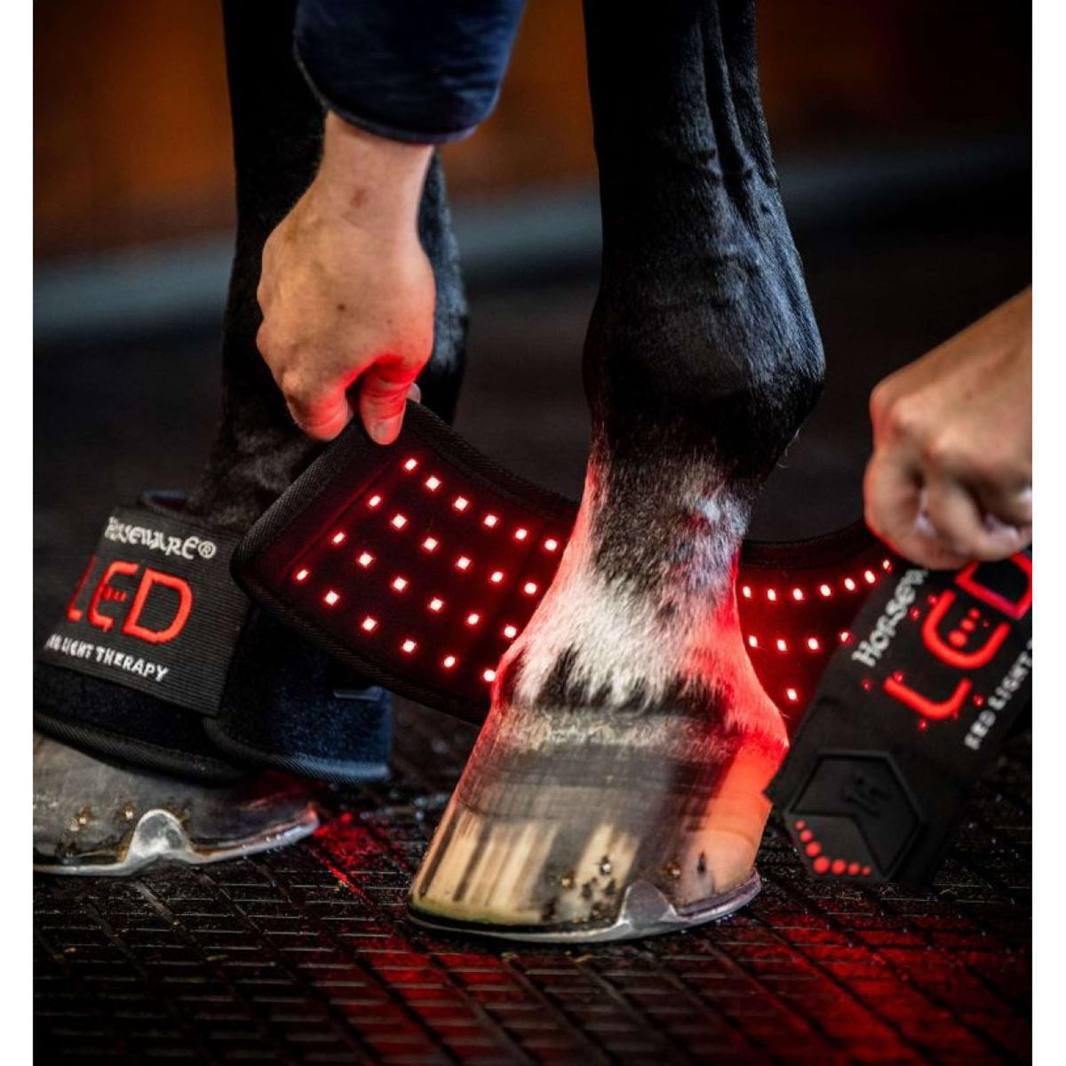 Horseware LED Red Light Therapy Mini Wrap Schwarz