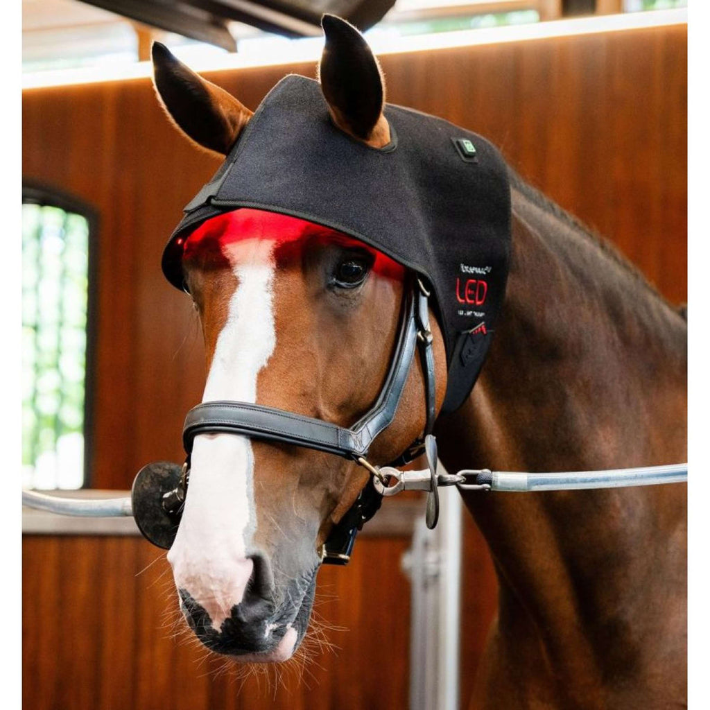 Horseware LED Red Light Therapy Poll Cap Schwarz