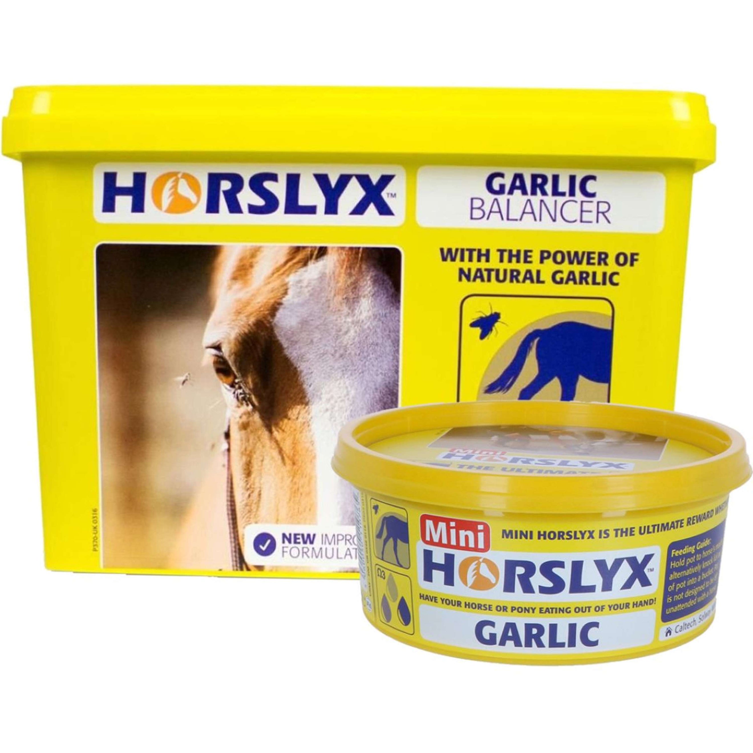 Horslyx Leckstein Garlic Horslyx Leckstein Garlic