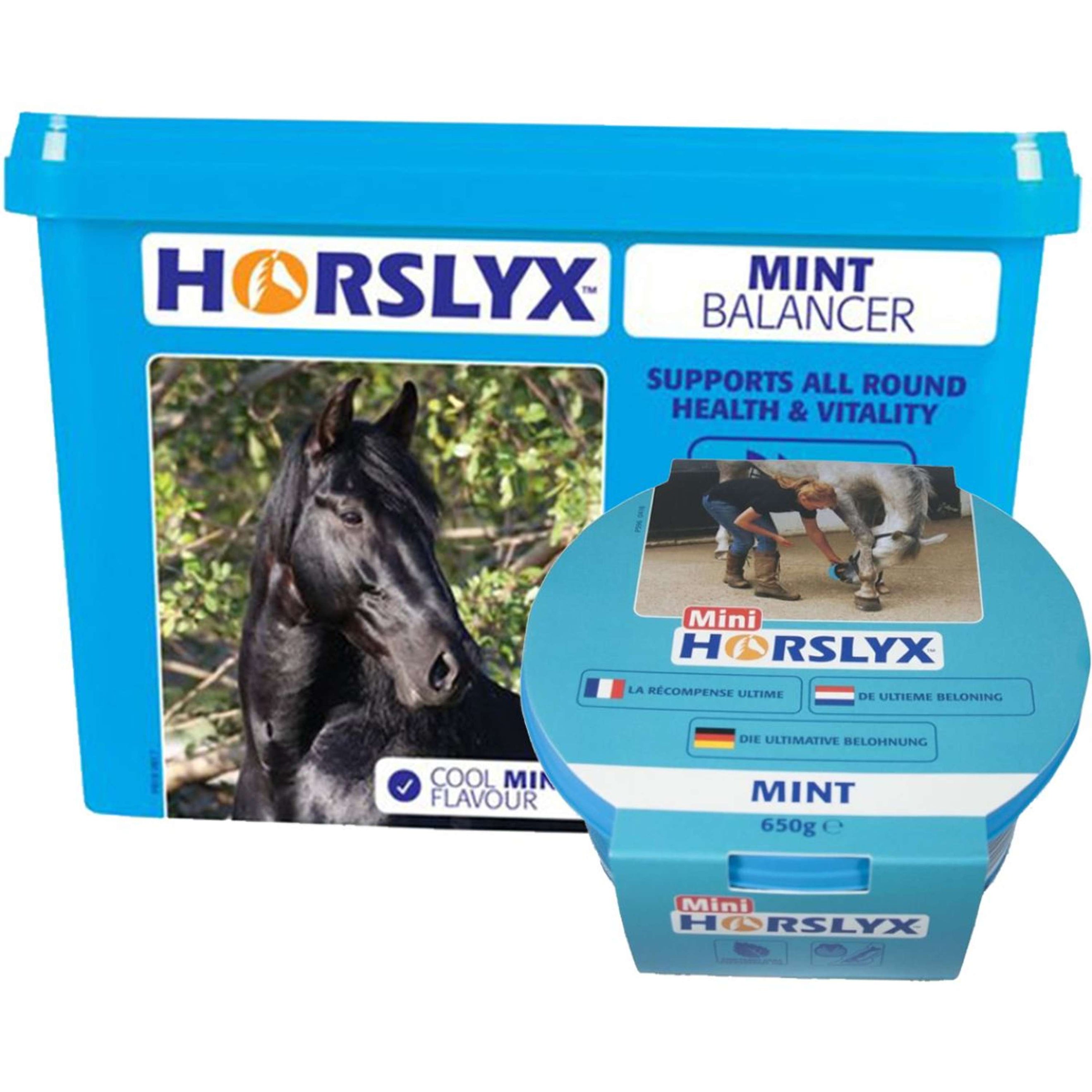 Horslyx Leckstein Mint Horslyx Leckstein Mint