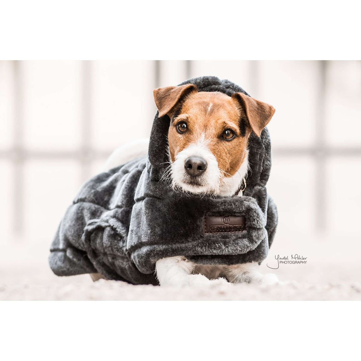 Kentucky Hundejacke Fake Fur Grau