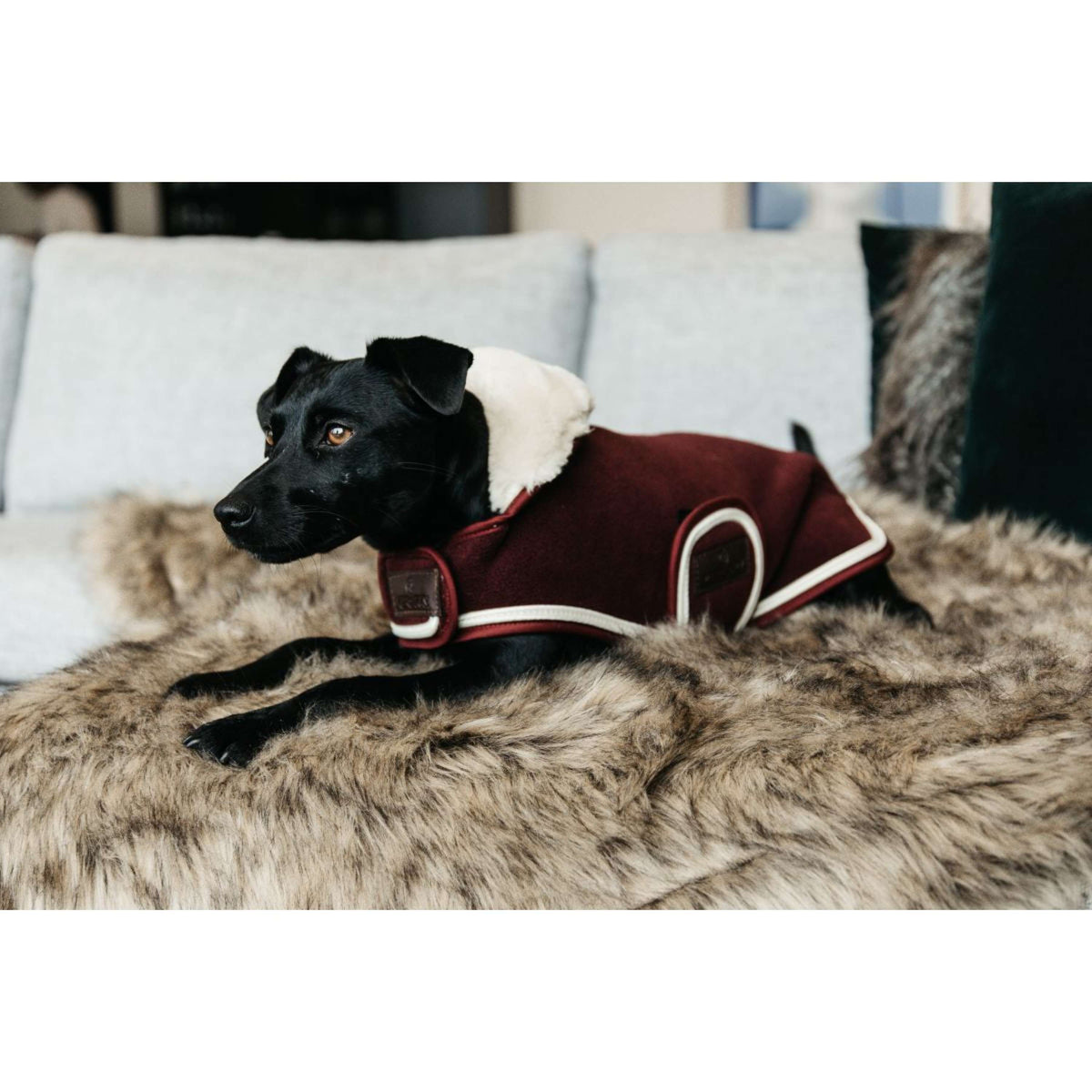 Kentucky Hundejacke Heavy Fleece Bordeaux